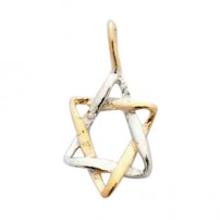  Gold Filled Miniature Two Tone Star of David Pendant